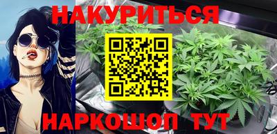 гидра Новозыбков