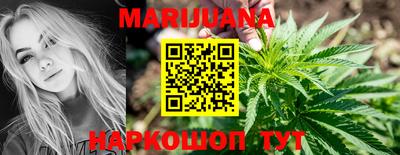 гидра Новозыбков