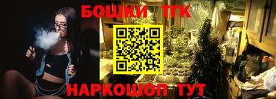 гидра Новозыбков
